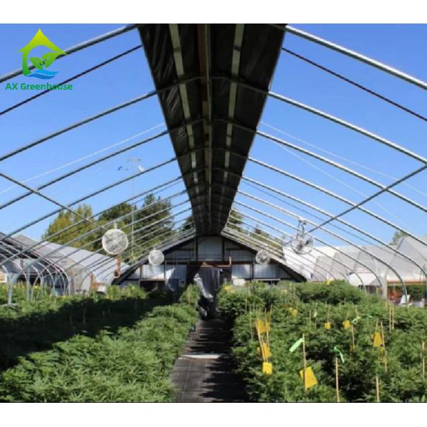 Quality Commercial Backyard Light Dep Greenhouse Plastic Film Hot Galvanized Steel for sale