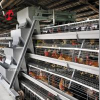 Quality A Type Automatic Poultry Farming Cage System For Layers Star for sale