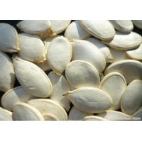 China Snow White Pumpkin Seed Improving Libido To Alleviate Menopausal Syndrome factory