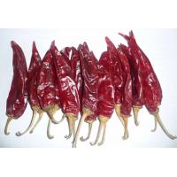 China 10-15cm Dried Guajillo Chili Grade A Red Paprika Pods factory
