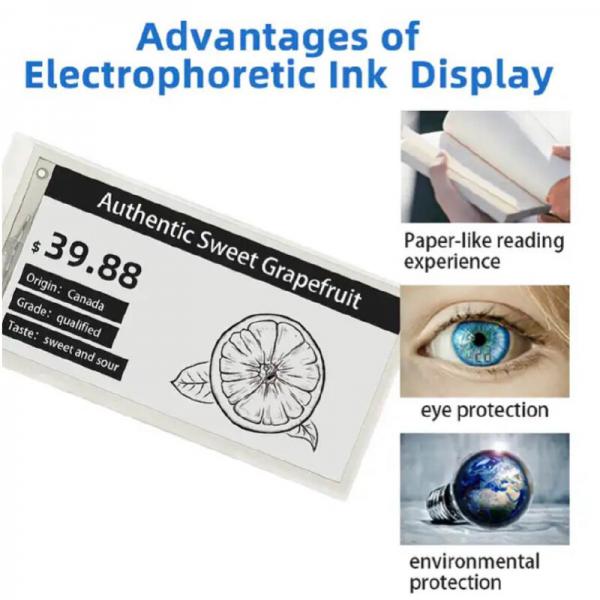 Quality 2.9 Inch ESL Electronic Epaper Display Eink Digital Price Tag Shelf Label for sale