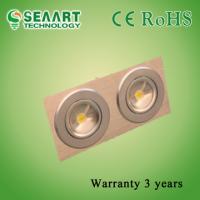 China Aluminum Alloy 6063 Two Heads 14W LED Ceiling Lamp For Commercial Lighting factory