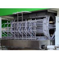 China Auto Recycling Paper Egg Tray Machine , Fruit tray / Egg Carton Pulp Moulded Machinery factory