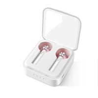China Hot Sale Factorybluetooth Wireless RoHS Earphones (with wireless charging case) factory