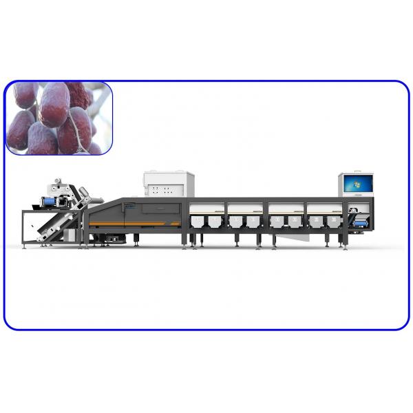 Quality Artificial Intelligence Sorting Equipment 12 Lanes Dates Sorting Machine for sale