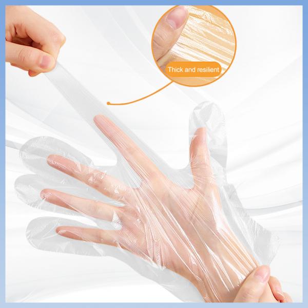 Quality Biodegradable Sanitary Disposable Polyethylene Gloves Powder Free for sale