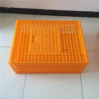 Quality Plastic crates for the transfer of chickens for sale