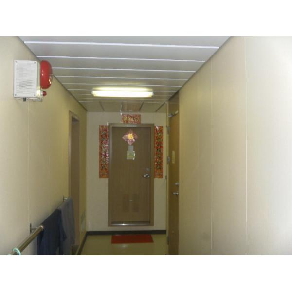 Quality Stainless Steel Left or Right Outwards Access Doors , Fireproof A60 Cabin Doors for sale