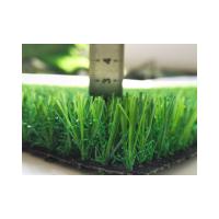 China 25mm Gym Artificial Turf Carpet 16cm 10cm Grass Seed Mat For Soccer factory