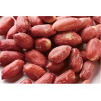 China Beer Nuts Big Red Candy Coated Peanuts Kernel Various Taste HALAL Certifiaction factory