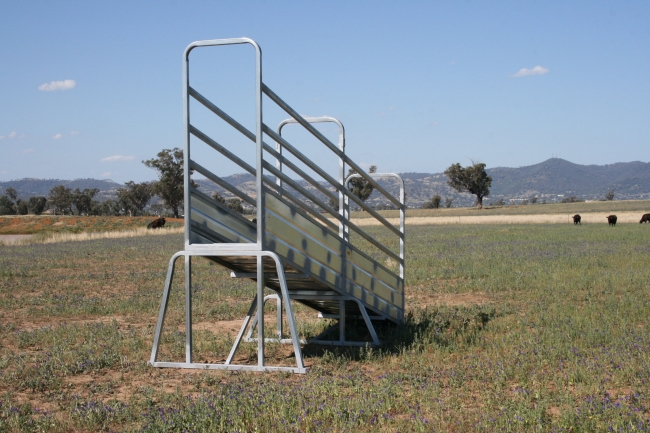 Hot Dip Galvanized 4m Sheep Loading Ramp Plans Corrosion Resistance ...