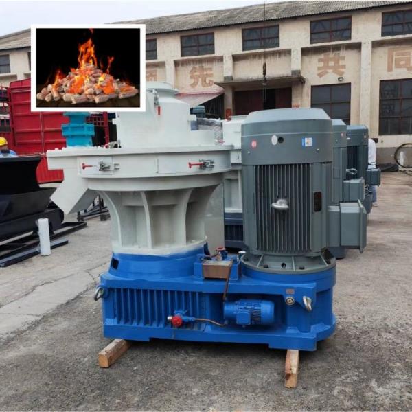 Quality 1t/H Ring Die Biofuel Wood Pellet Mill For Wood Chips Waste Wood Pelletizer for sale