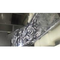 China BRC Approved 60g 80g Scomber Japonicus Fresh Frozen Mackerel factory