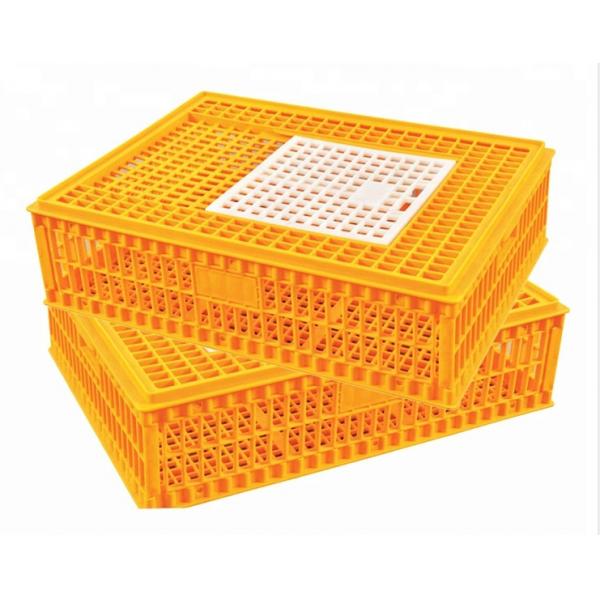 Quality Orange Plastic Chicken Transport Cages PE Plastic Poultry Carrier for sale