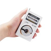 Quality With Speaker portable AM FM radio super design private model DSP Chip for sale