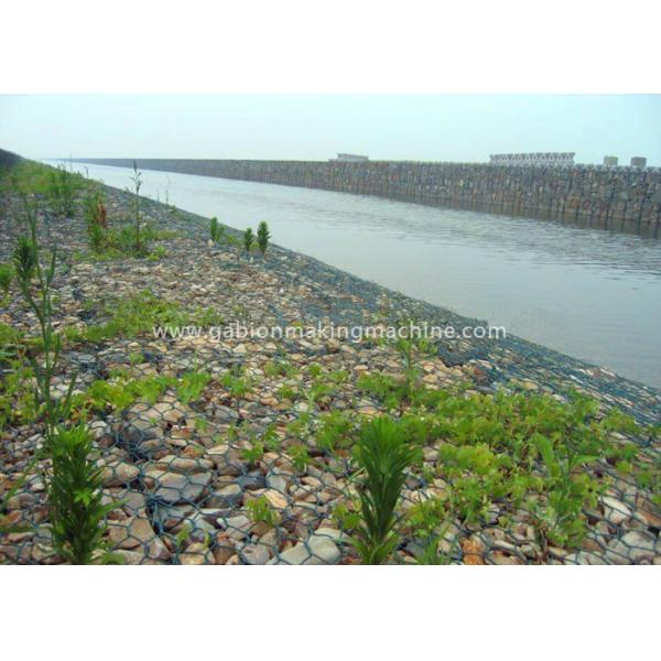 Quality Professional Gabion Box 100 x 120mm Mesh Size For Steep Slopes Lining for sale