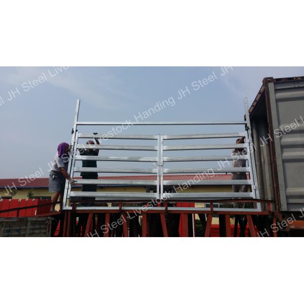 Quality Red White Painted Portable Horse Pens , 2.3m Height Galvanized Round Pen Panels for sale