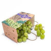 China Customizable Sustainable Fruit Packing Paper Bags For Fruits And Vegetables factory