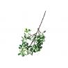 China Clear Veins Fake Tree Branches Highly Simulated Upscale Ficus Branch factory