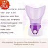 China home beauty instrument steaming machine face - sprayer heating spray steamer factory