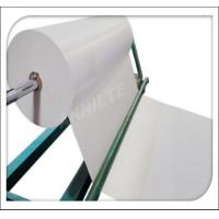 China Poultry PP White Conveyor Sheet polypropylene plastic chicken manure belt for Modern chicken factory factory