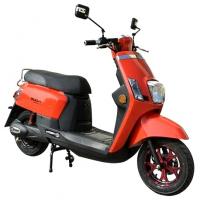 China 12 Wheel Brushless 40mph 800w 48v Electric Moped Scooter factory