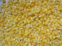 China Canned Corn Factory Non GMO Canned Corn Canned Sweet Corn In Tin A10 factory