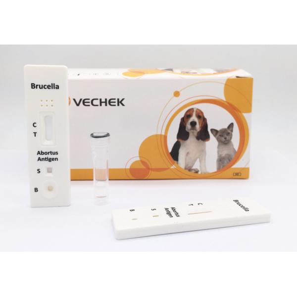 Quality 10 Minutes Bovine Brucella Antigen Test With Qualitative And Preliminary for sale