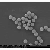 Quality 200 Nm Streptavidin Biotinylated Antibodies With Effectively For Immunoassay for sale