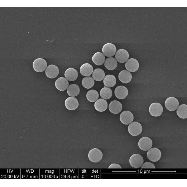 Quality 200 Nm Streptavidin Biotinylated Antibodies With Effectively For Immunoassay for sale