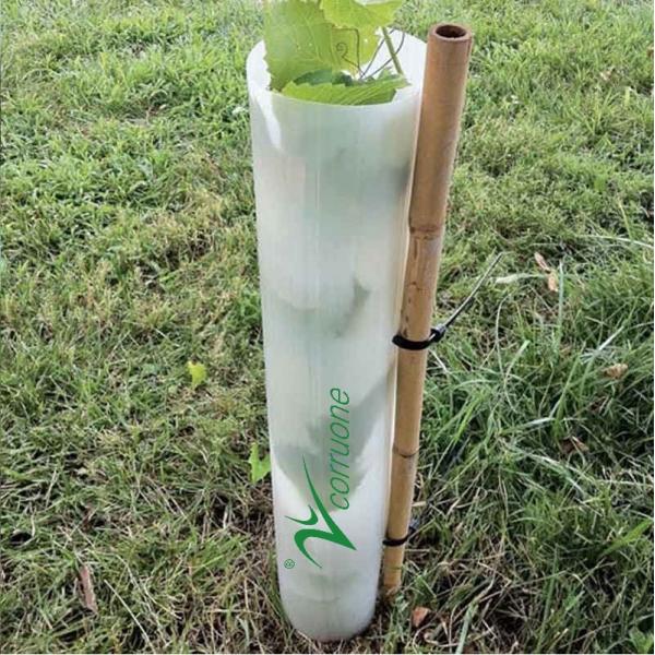 Quality Corflute Plantra Tree Protectors PP Corrugated Tree Guard Tubes for sale