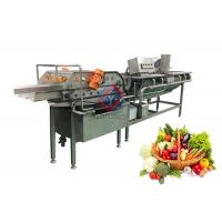 China 4.8KW Automatic Vegetable Fruit Washing Machine Vortex Type Lettuce Washer factory