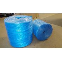 Quality 3mm 4mm Farm Use Twisted Banana Twine Hay Baler Rope Blue PP Baler Twine for sale