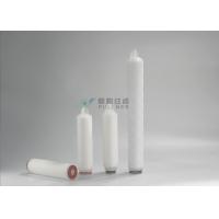 China 1 micron 69mm 10 PN Nylon6 Sterilization Filters Cartridge factory