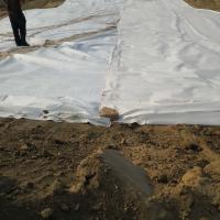 China 300gsm Nonwoven Geotextile 1.5mm LLDPE Geomembrane Liner For Fish Pond factory