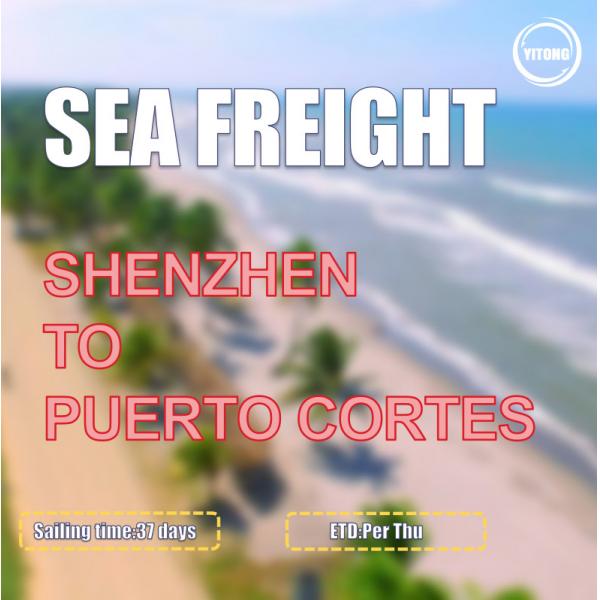 Quality 37 Days DDP DDU Sea Freight From Shenzhen To  Puerto Cortes Honduras for sale