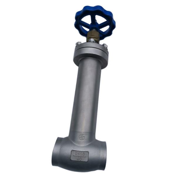 Quality Long Stem SS304 316 CF8 CF8M Or Other Material Customize Cryogenic Globe Valve for sale