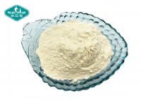 China Pure Probiotic Strain Powder Lactobacillus Crispatus for Digestive Support factory