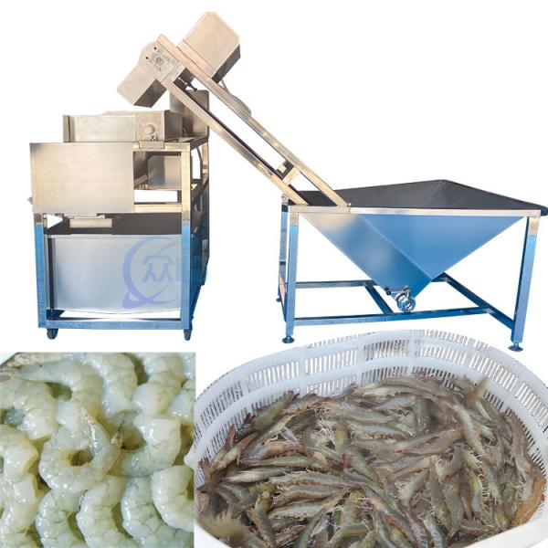 Quality 380V Seafood Squid Cleaning Machine Waterproof Anti Corrosion for sale