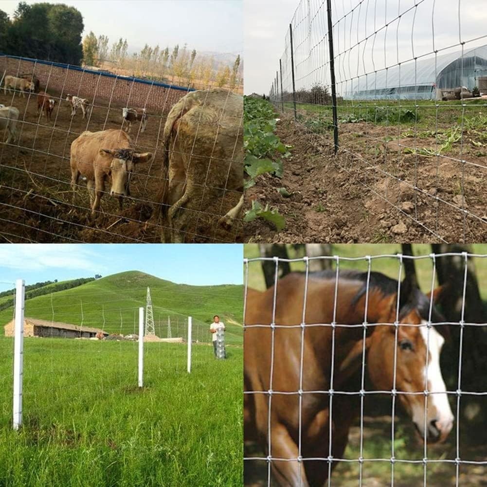 China Agriculture Land Fixed Knot Deer Fence factory