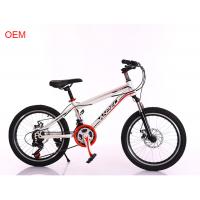 China OEM Aluminum Alloy 20 Inch Mountain Bike With Gears For Youth factory