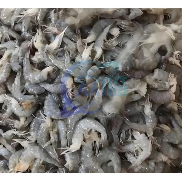 Quality 50Hz Stable Shrimp Screening Machine , Stainless Steel Shrimp Cutting Machine for sale