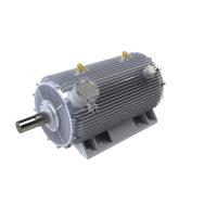 Quality Direct Drive PMAC Motor Variable Speed IP54 IP55 3 Phase Permanent Synchronous for sale