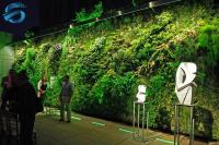 China Lightweight Artificial Green Wall Panels , Artificial Hedge Screening GSPW05 factory