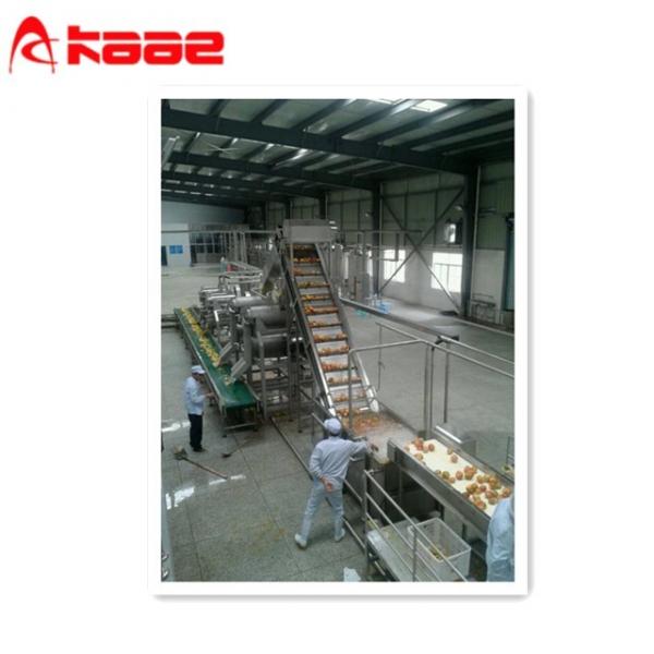Quality SS316 Mango Processing Line Pulp Production Line 0.5 - 120 Tons Per Hour for sale