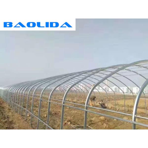 Quality Arch Pipes Reinforced Commercial Polyethylene Film Greenhouse for sale