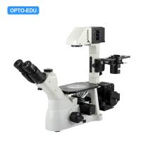 China Kohler Illumination Inverted Light Microscope OPTO-EDU A14.0900 factory