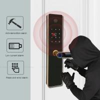 China Tuya App Front Door Smart Lock With Handle Fingerprint IC Card Password Access for sale