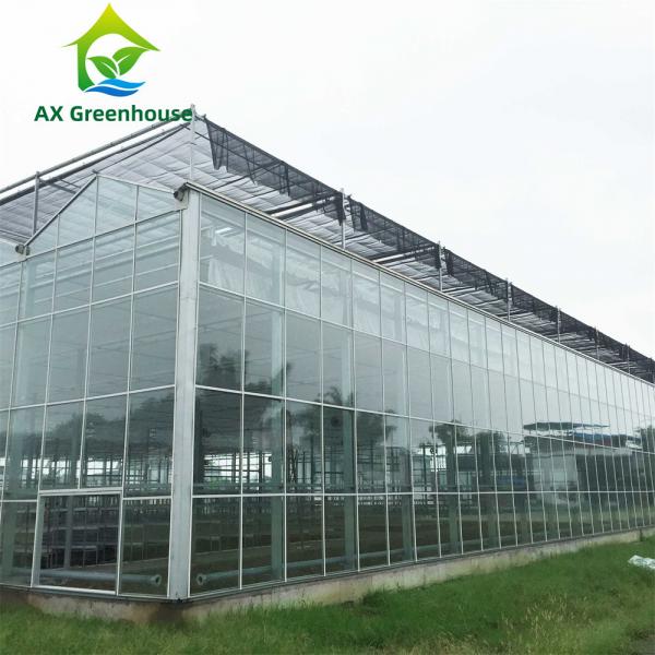 Quality OEM ODM 4mm 5mm Glass Tomato Farming Greenhouse With Cooling System for sale