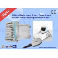China Portable Cryolipolysis Slimming Machine , Salon Fat freezing Liposuction Machine factory